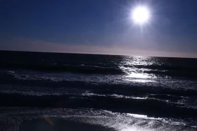 DSC_0703 (Large).JPG